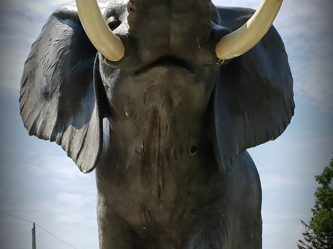 Jumbo The Elephant Monument景点图片