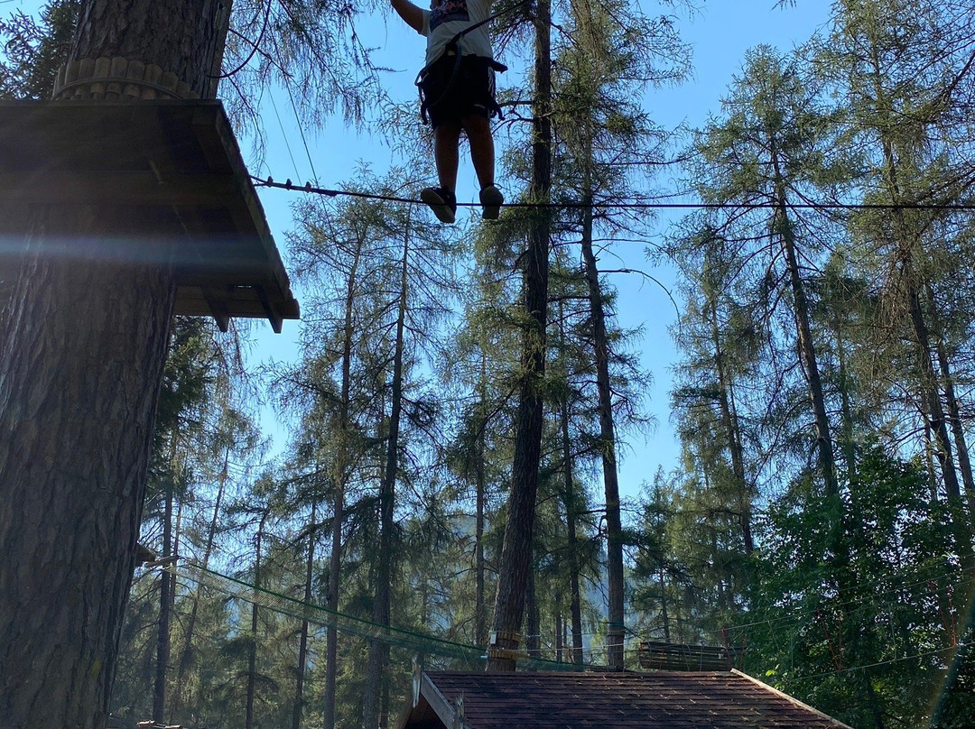 Adventure Dolomiti , Parco Avventura - Molina Di Fiemme)-Castello-Molina di Fiemme必去景点