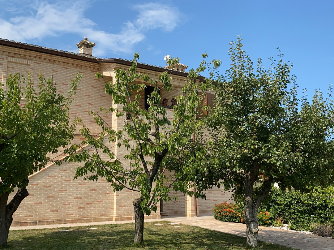 Sottocastello Il Casale主图