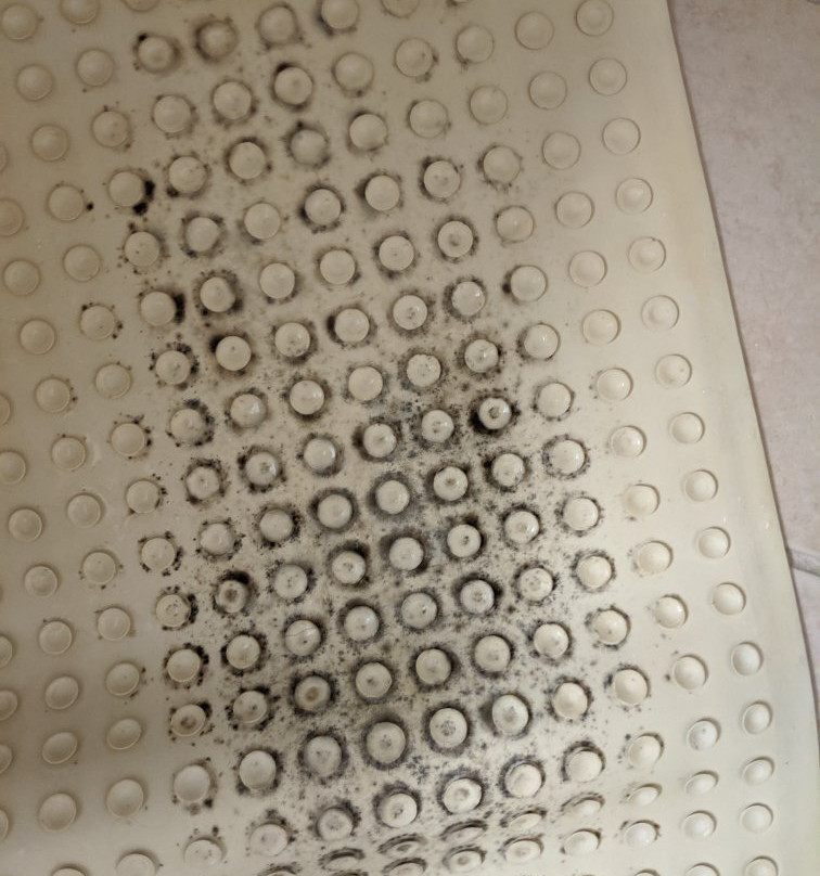 Best Western Plus Wakeeney Inn & Suites主图