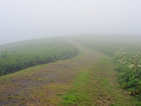 Azechi no Misaki-滨中町必去景点