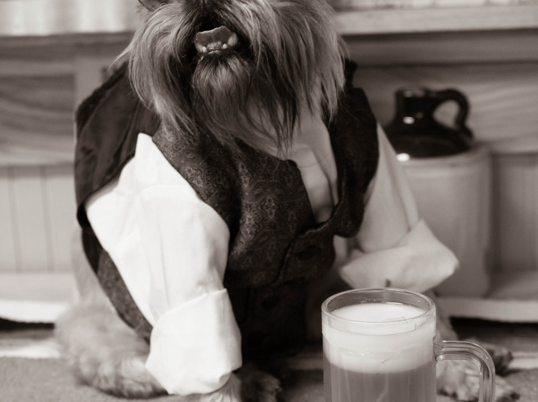 Way Back When Photography-科迪必去景点