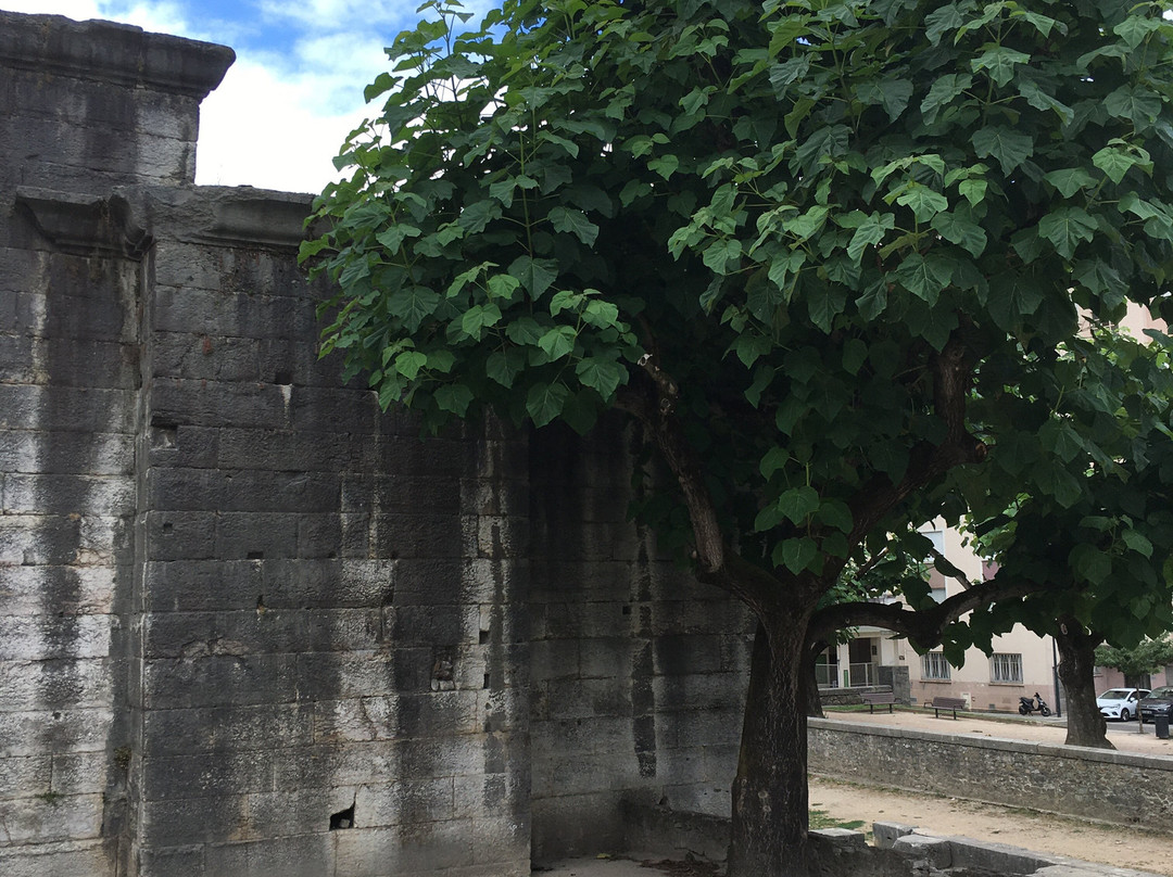Jardin de Cybèle景点图片