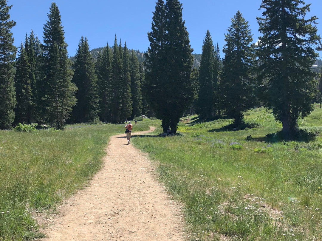 Cecret Lake Trail-Alta必去景点