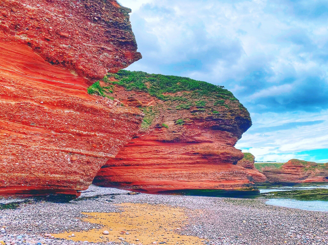 Arbroath Cliffs-Arbroath必去景点