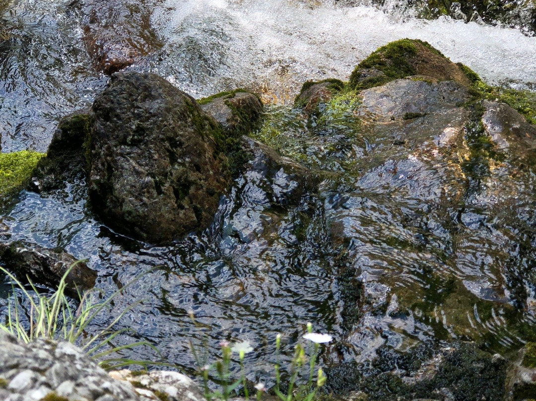 The Source of Soča River-Soca必去景点