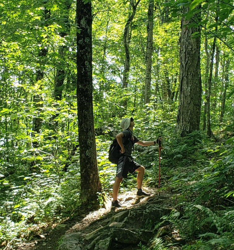 Harmon Hill-本宁顿必去景点