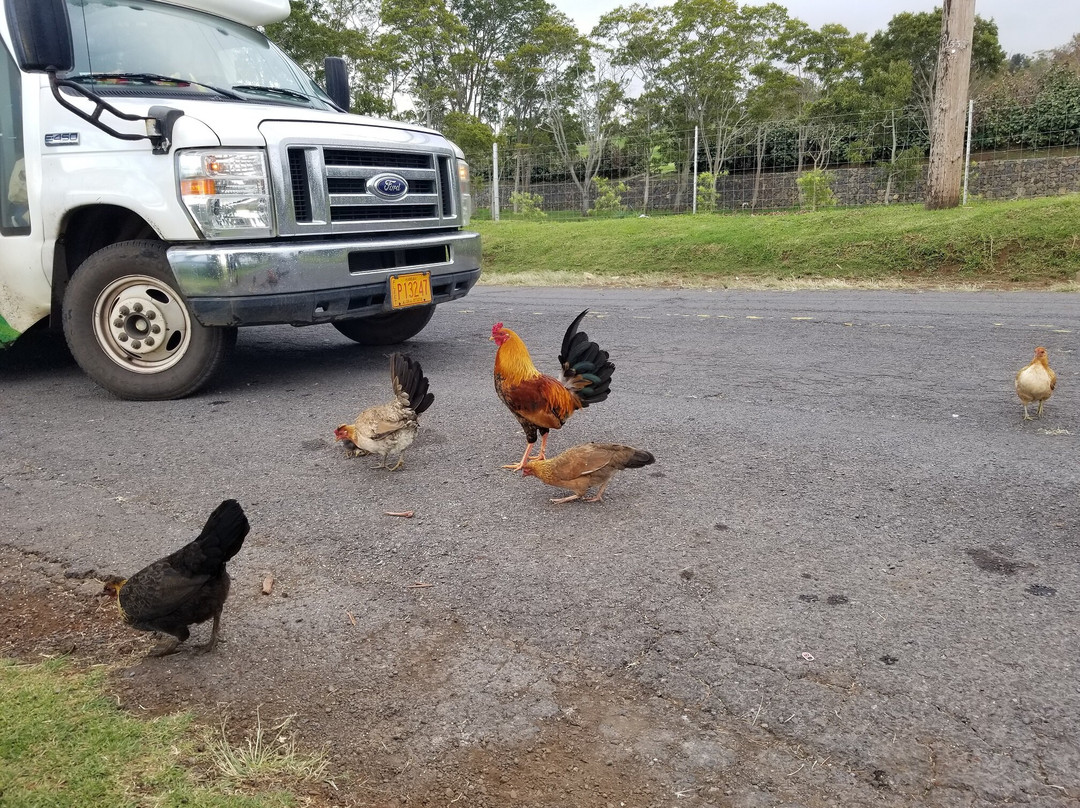 哈罗德•赖斯公园-库拉必去景点