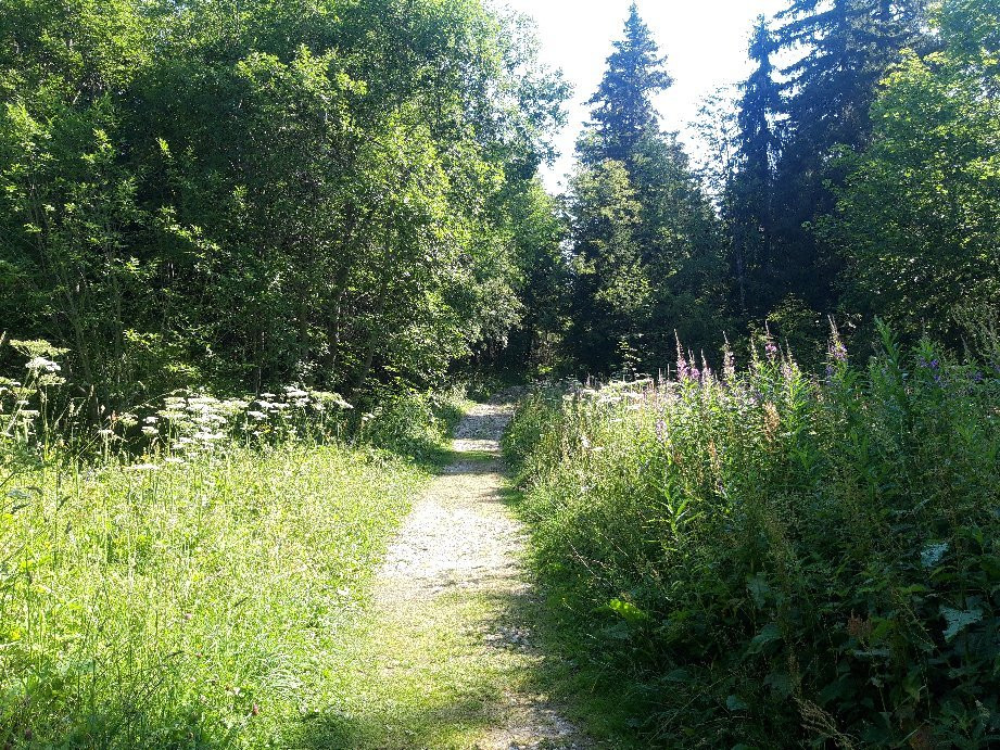 Parc Jura vaudois景点图片
