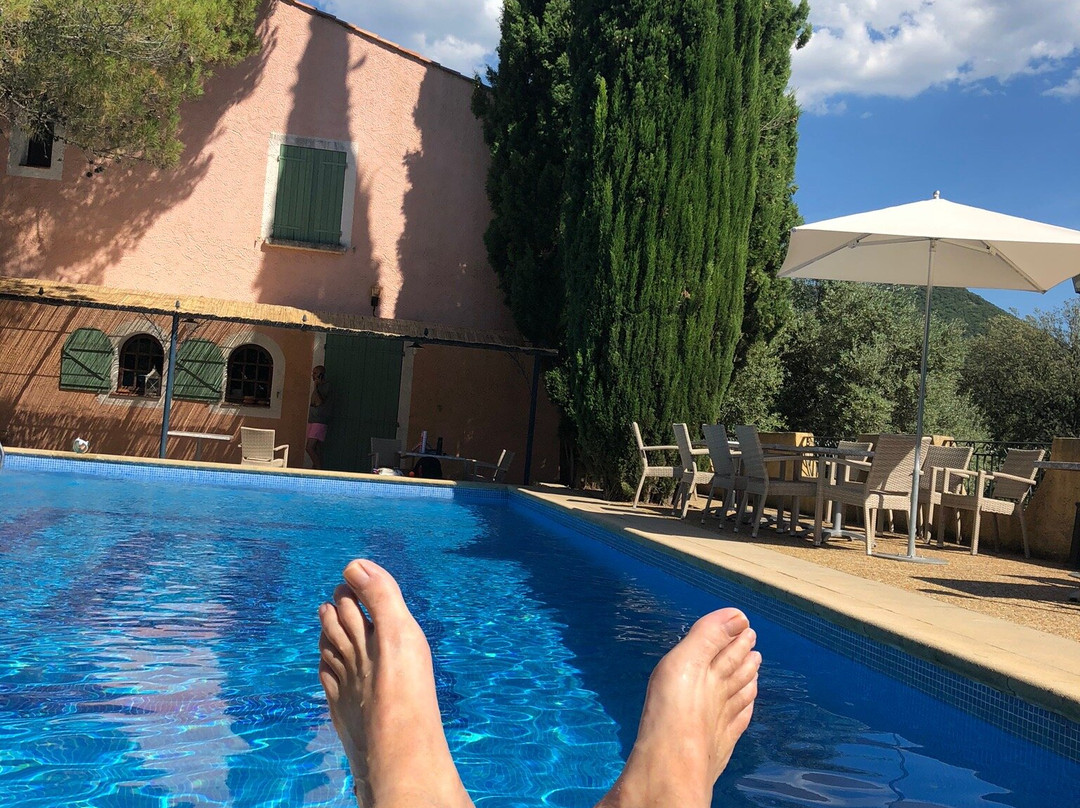 Le Rouge Gorge主图