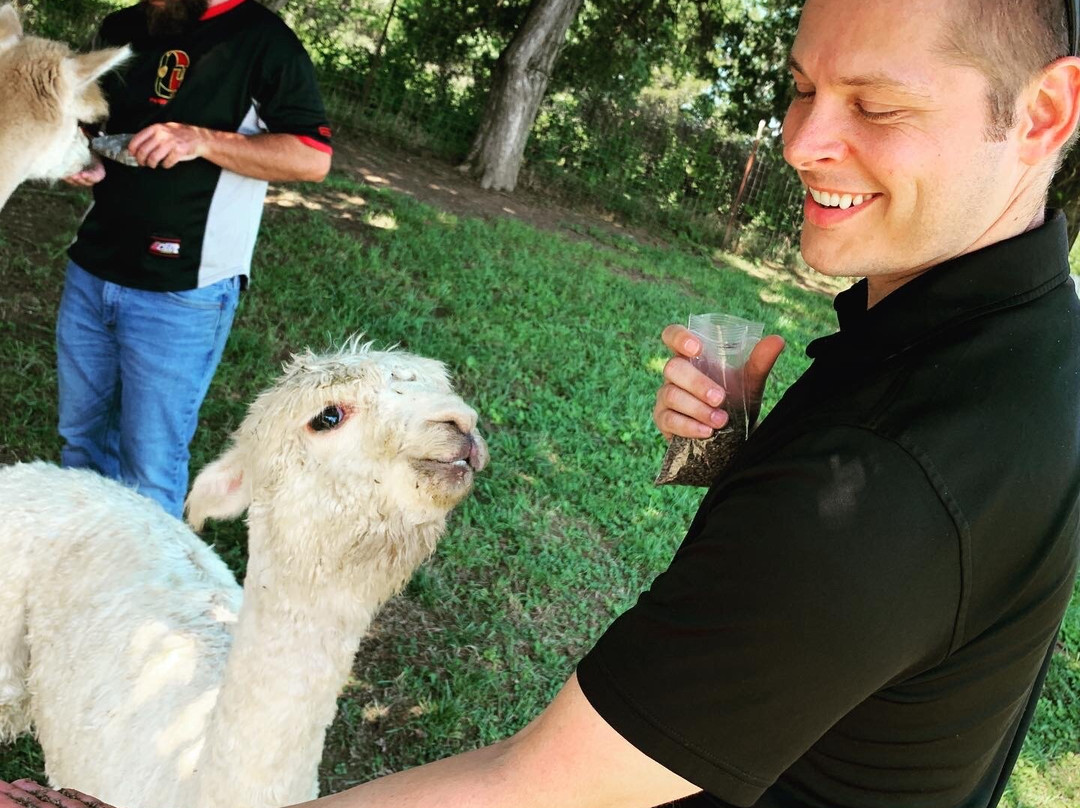 Rocking Chair Farm-Corryton必去景点