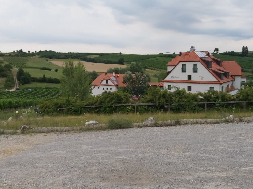 Hotel Neustifter主图