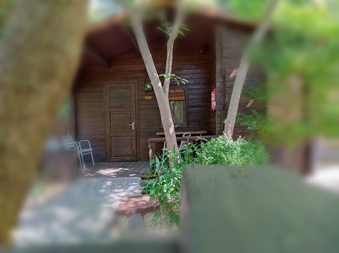 Balneario San Andres主图