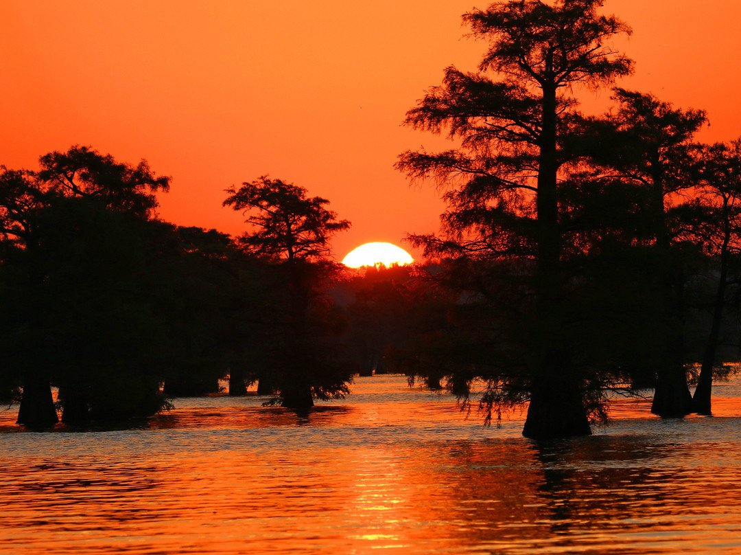 Big Cypress Tours-Uncertain必去景点