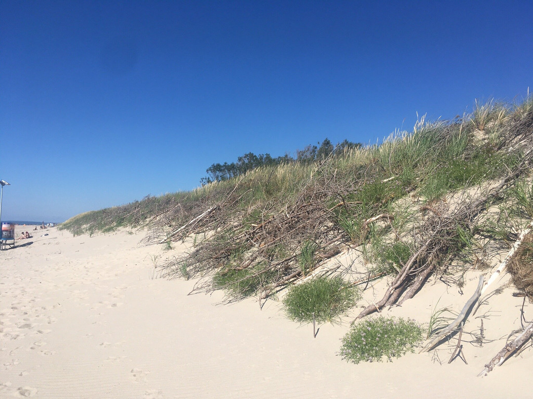 Beach Of Nida-Nida必去景点