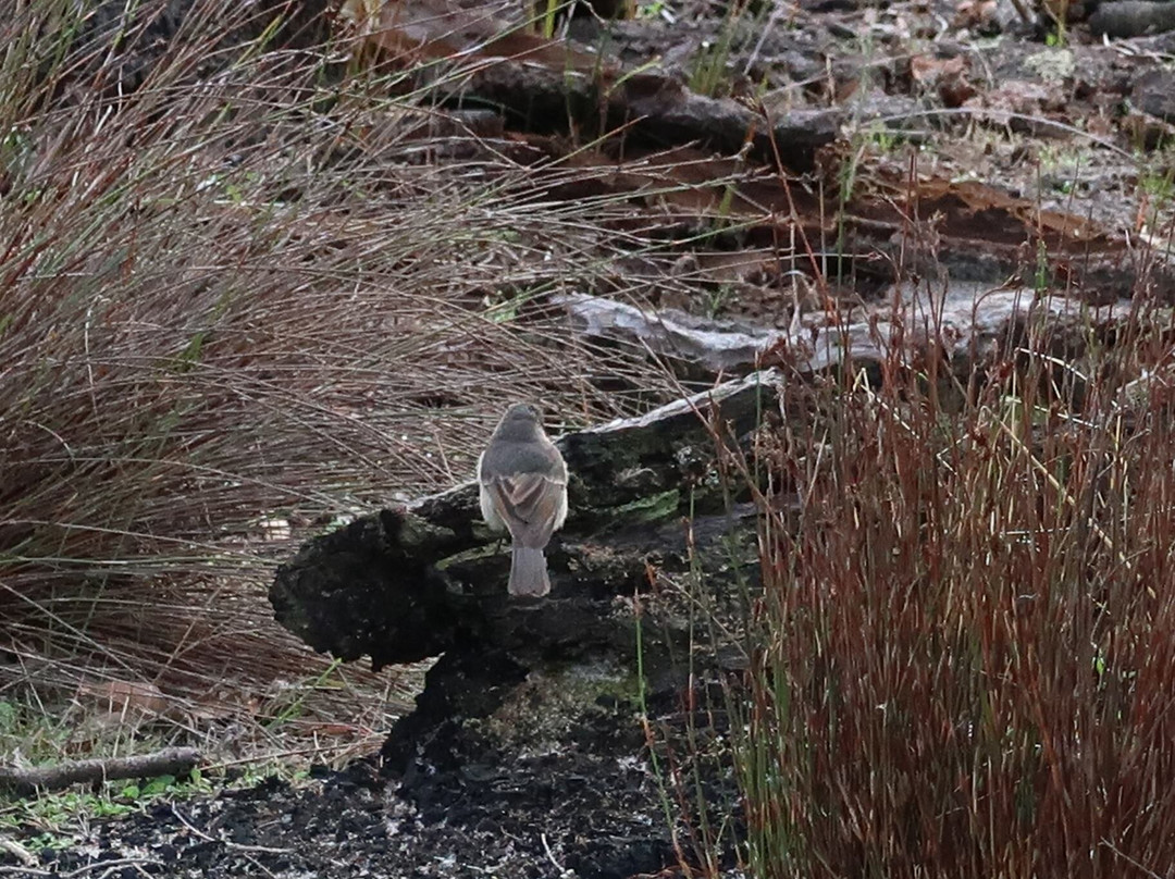 Manea Park-班伯利必去景点