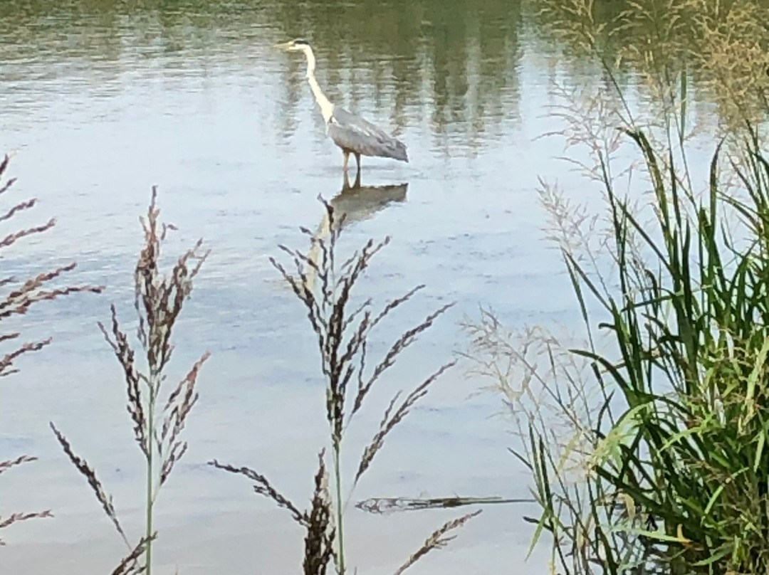 Edenbrook Country Park景点图片