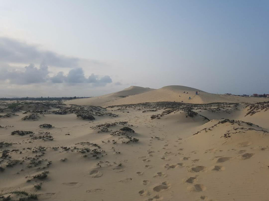 Quang Phu Sand Dunes景点图片