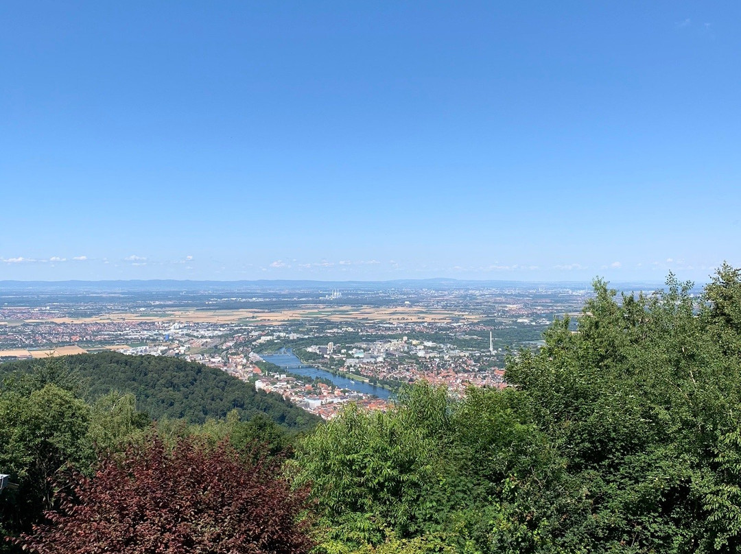 King's Throne (Konigstuhl)景点图片