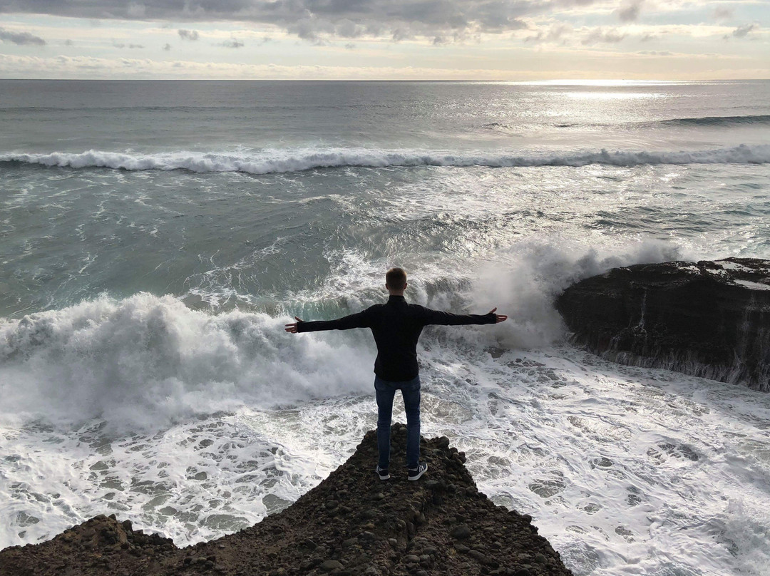 Trippy - West Auckland Adventures-皮哈海滩必去景点