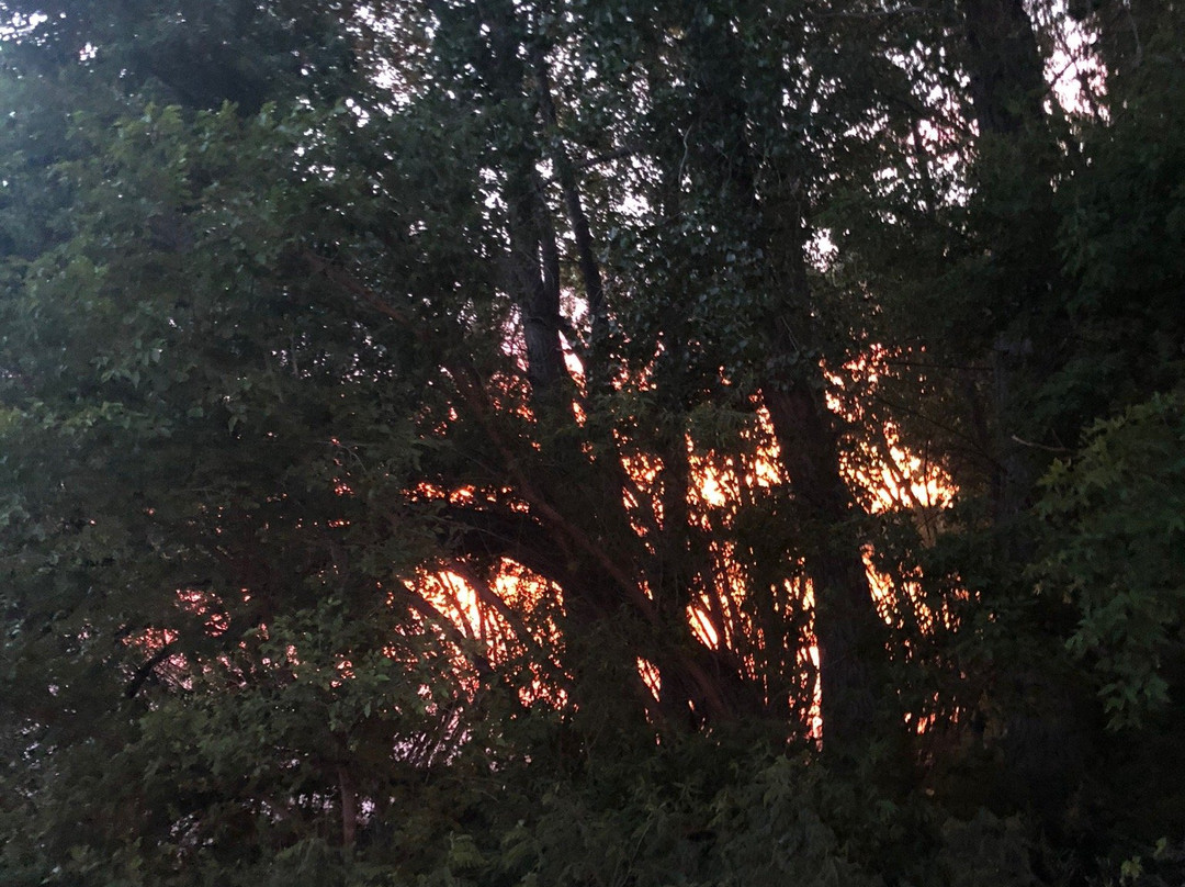 Calamus Reservoir State Recreation Area-Burwell必去景点