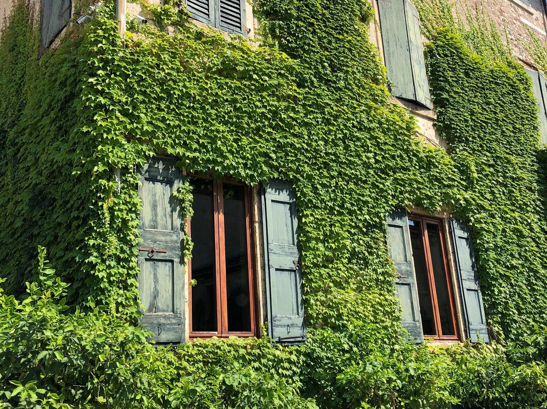 Villa Allegri, Arvedi景点图片