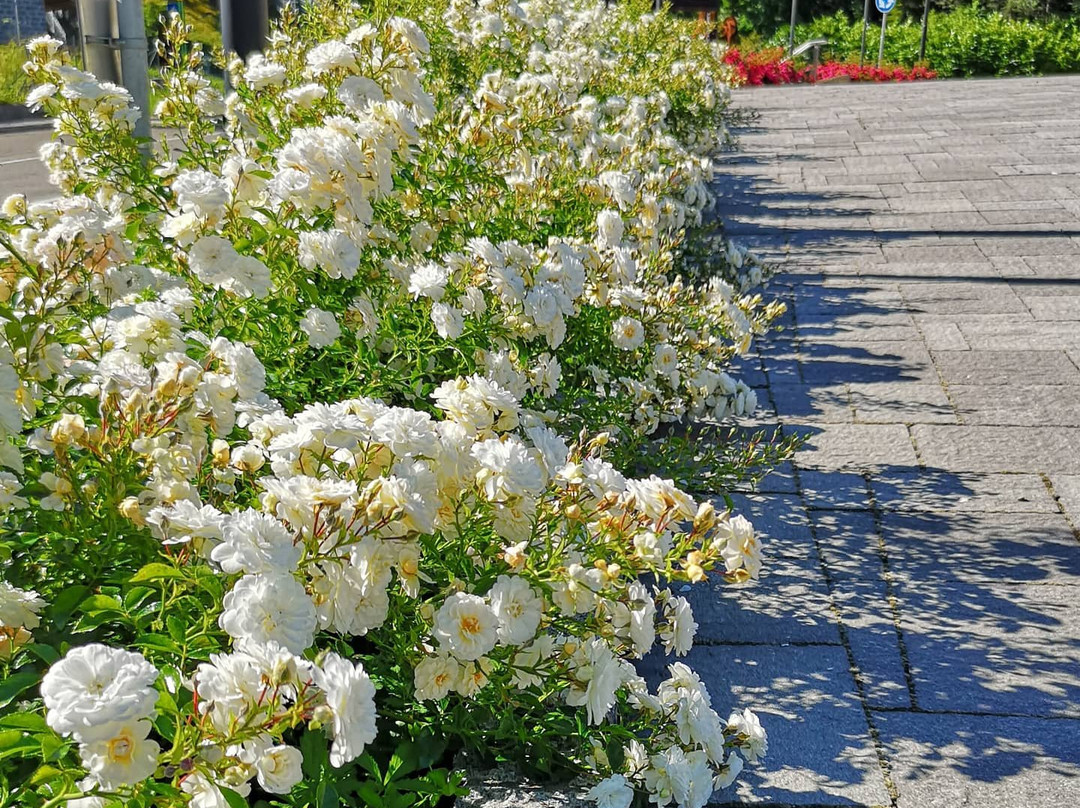 Riolunato酒店住宿-B&B La Torretta