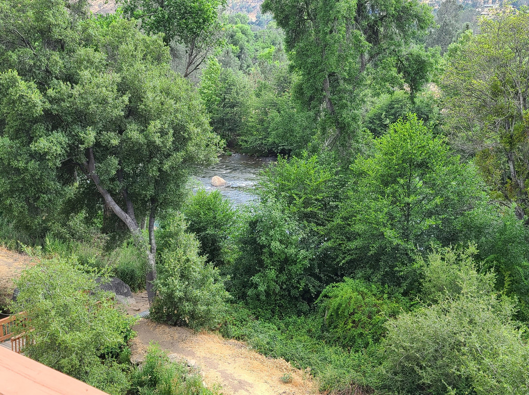 Whispering Pines Lodge主图