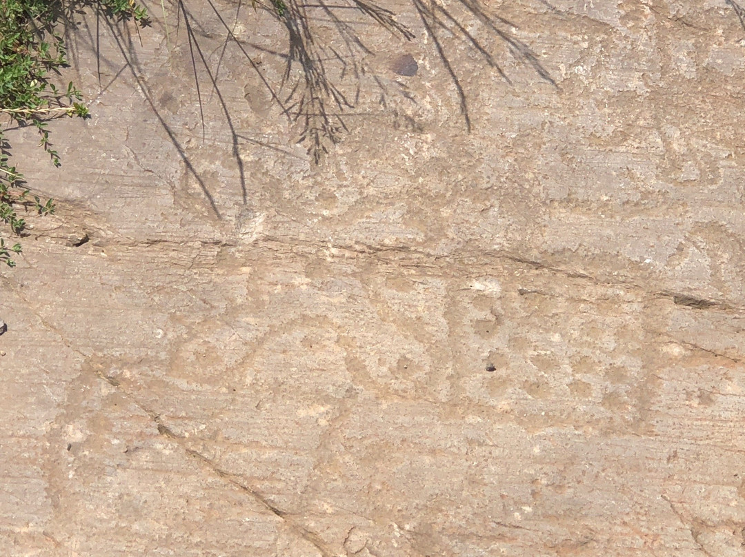 Parco Archeologico Comunale di Seradina-Bedolina景点图片