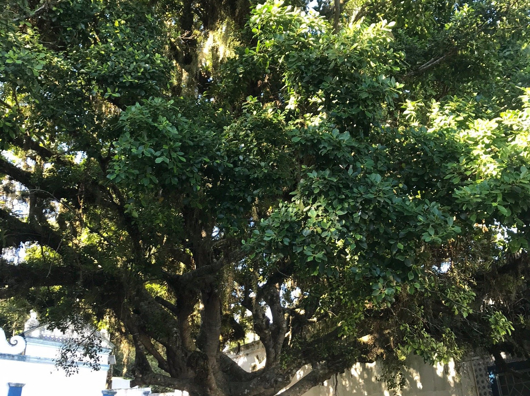 Fonte da Carioca-Laguna必去景点