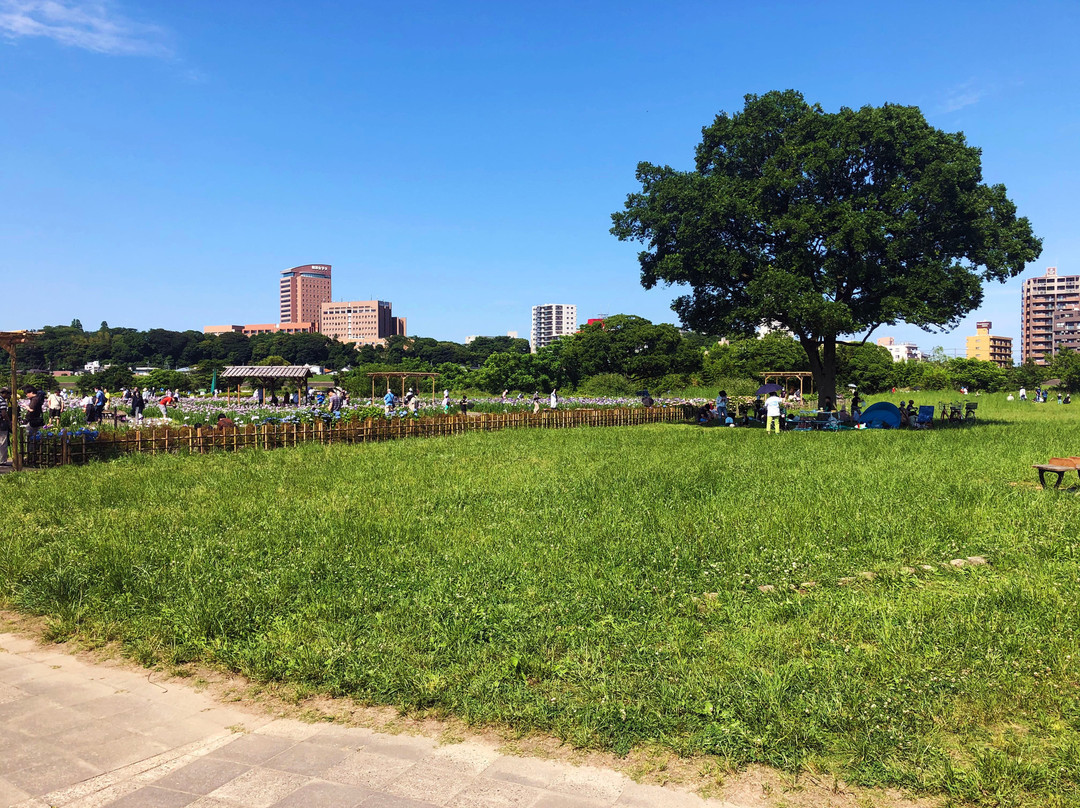 Kloiwa Shobu Garden-江戸川区必去景点