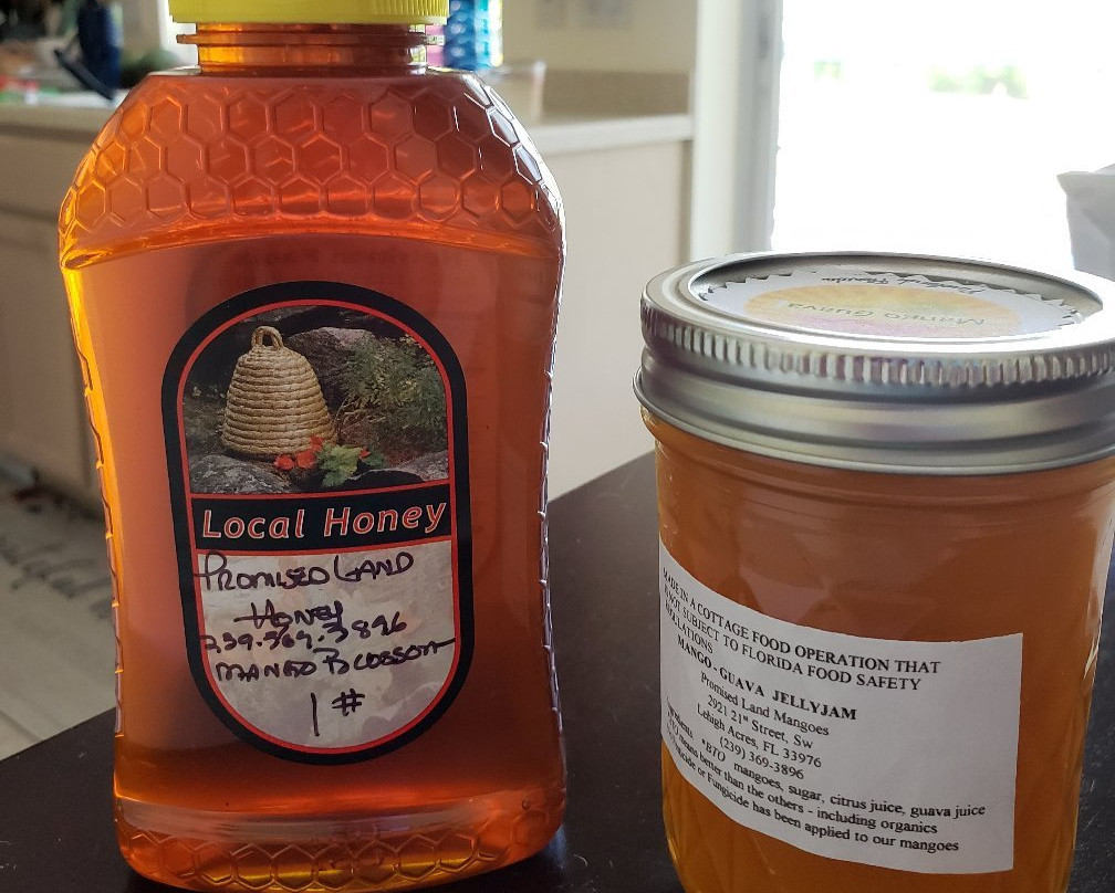 Promised Land Mangoes-Bokeelia必去景点