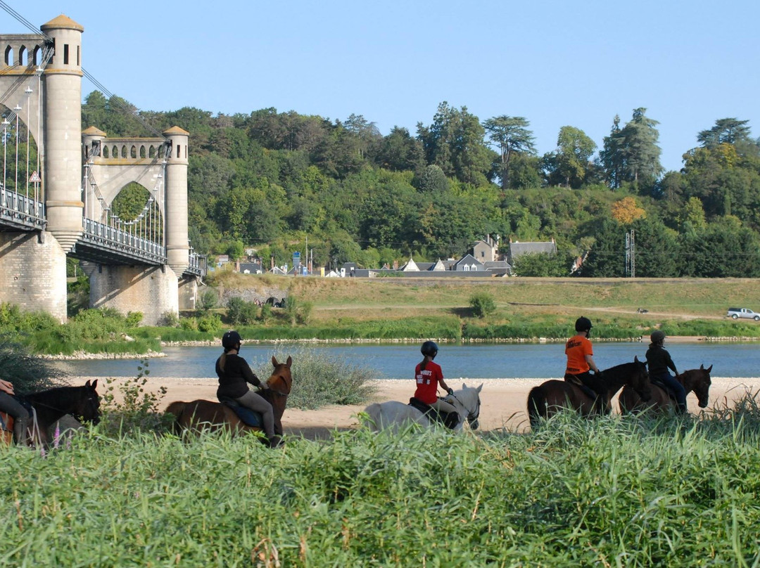 Randonnez Cheval Ô Centre-Lamotte-Beuvron必去景点