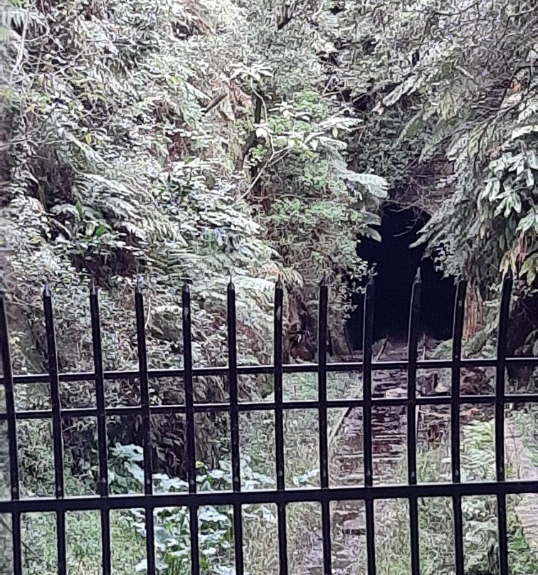 Old Helensburgh Station-海伦斯堡必去景点