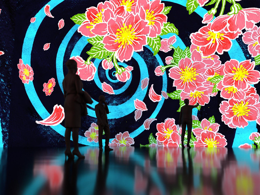 Artechouse DC-华盛顿特区必去景点