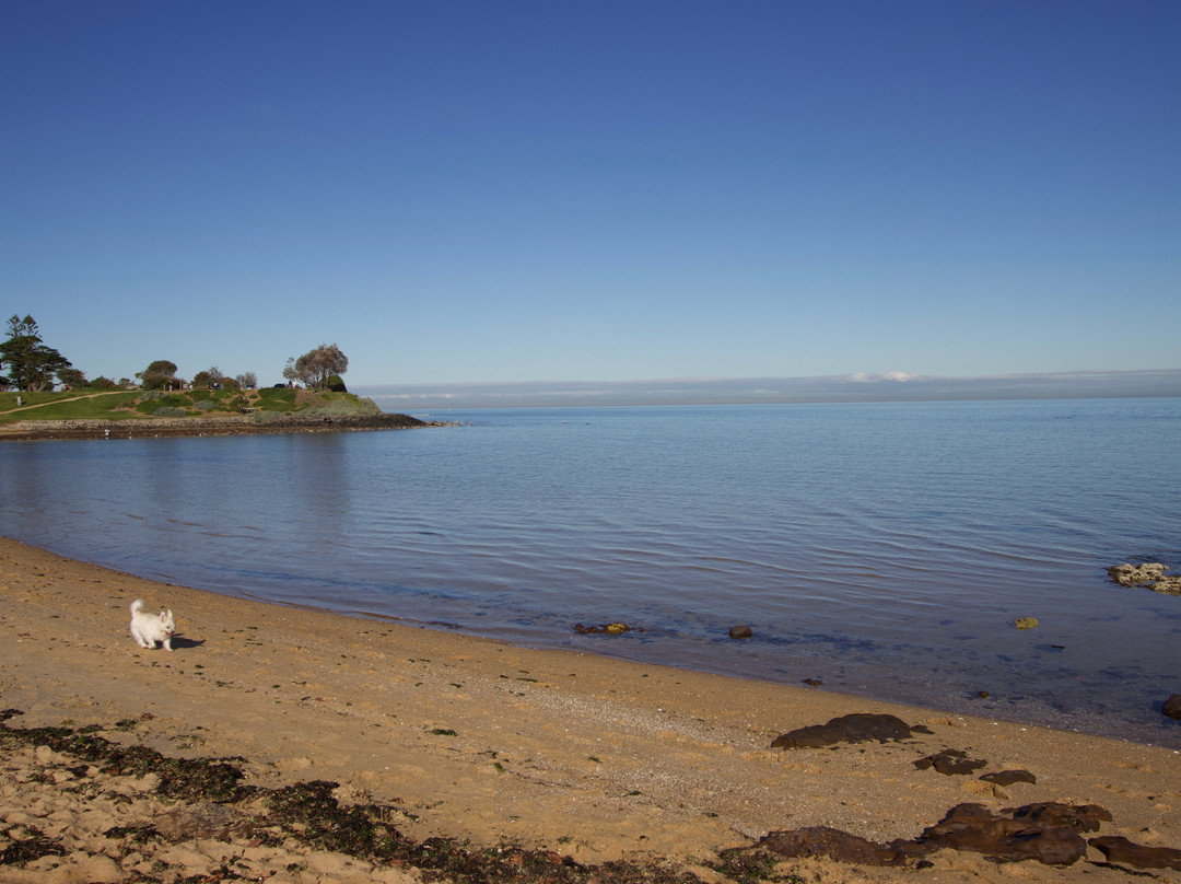 Dendy Street Beach-布莱顿必去景点