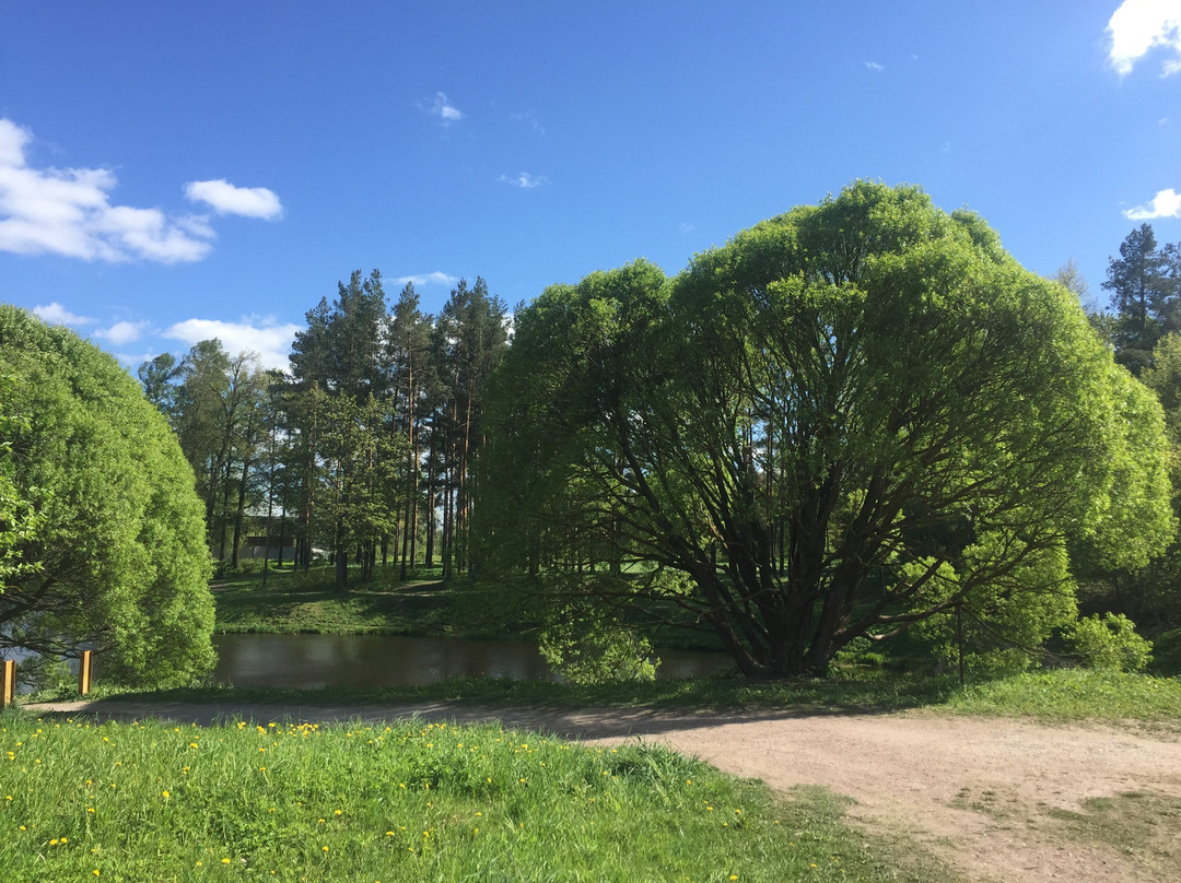 Babolovskiy Park景点图片