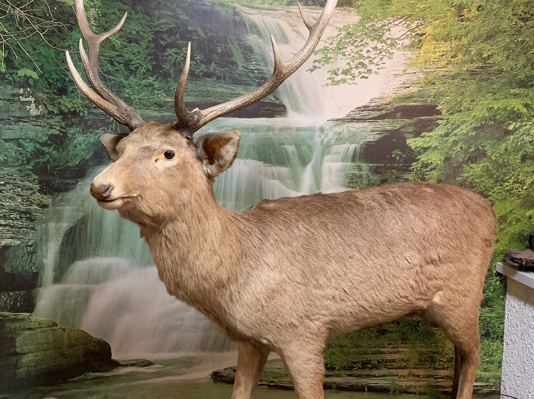 斜里第一酒店主图