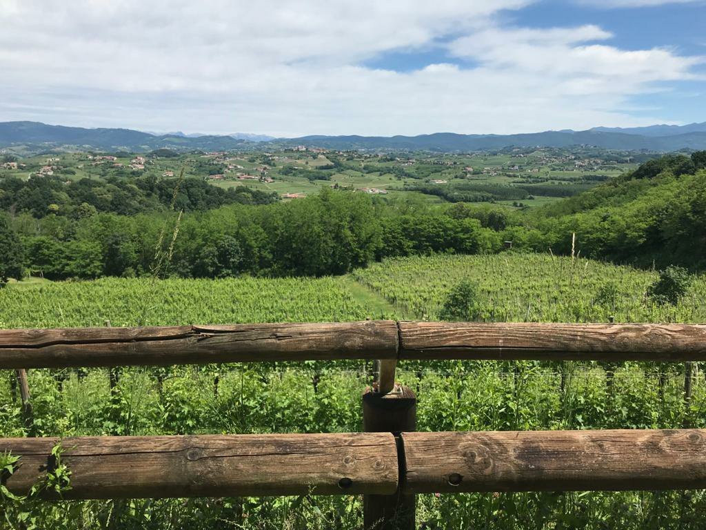 Bosco di Plessiva-科尔蒙斯必去景点