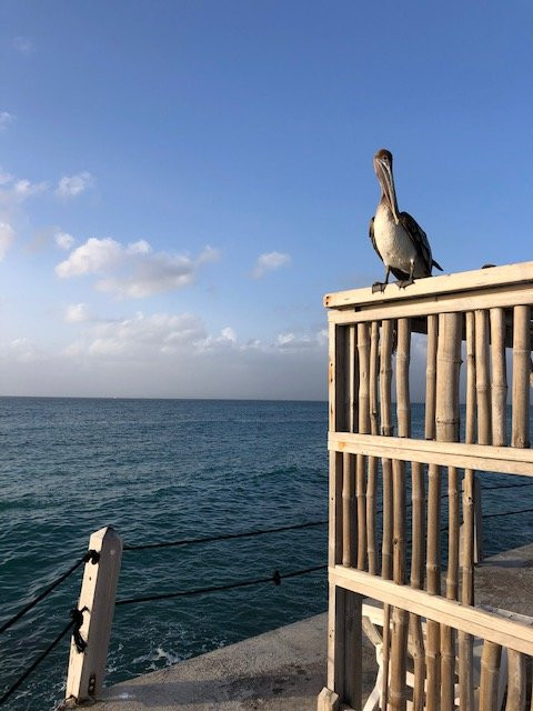 La Créole Beach Hôtel & Spa主图