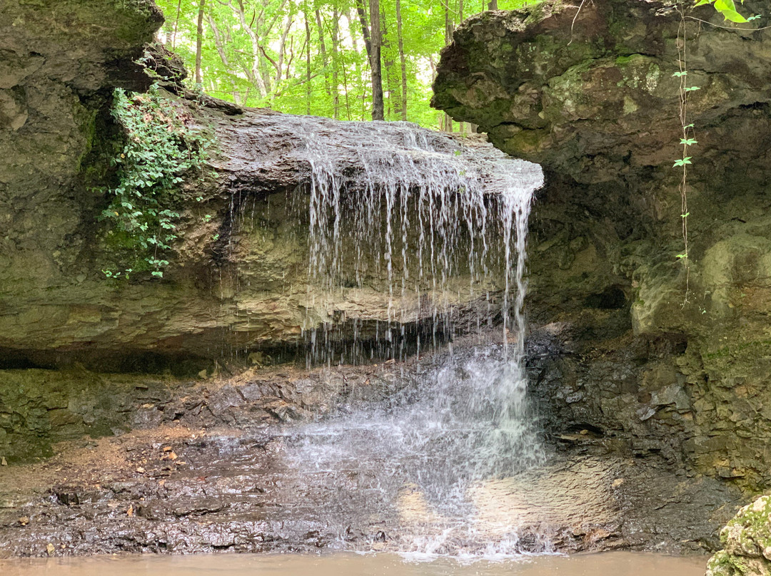 John M. Olin Nature Preserve
