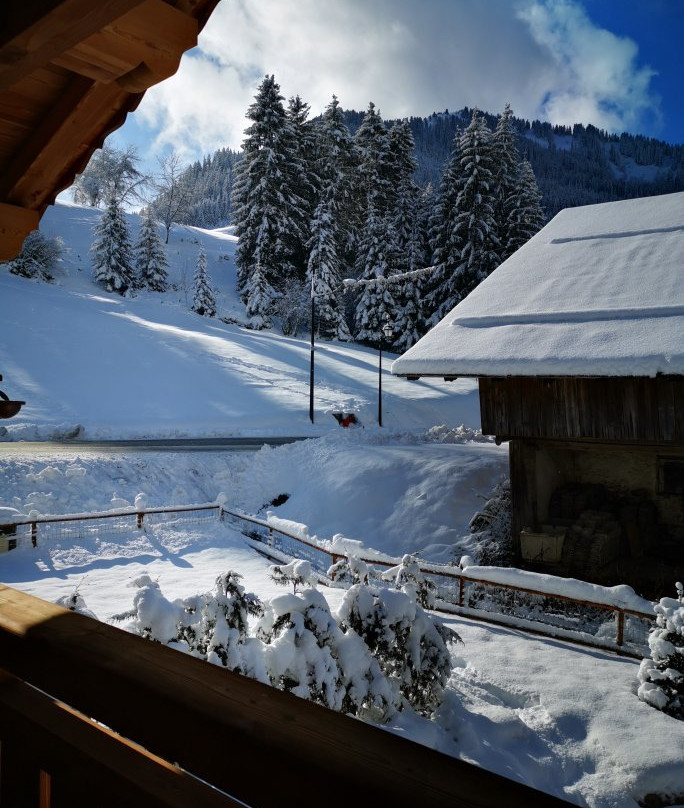 Alpine Descents, Chalet Carnauba主图