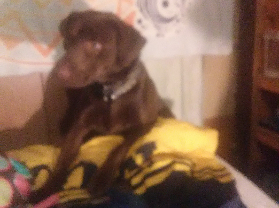 Suburban Studios主图