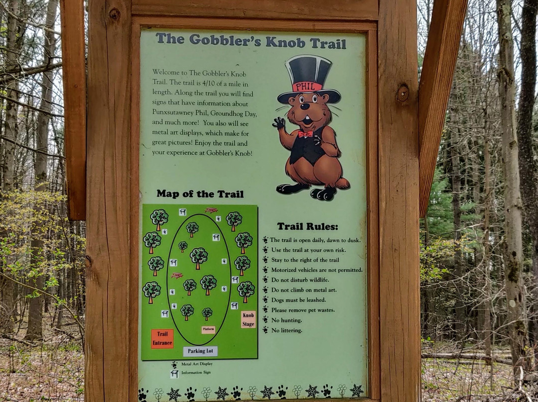 Gobbler's Knob景点图片