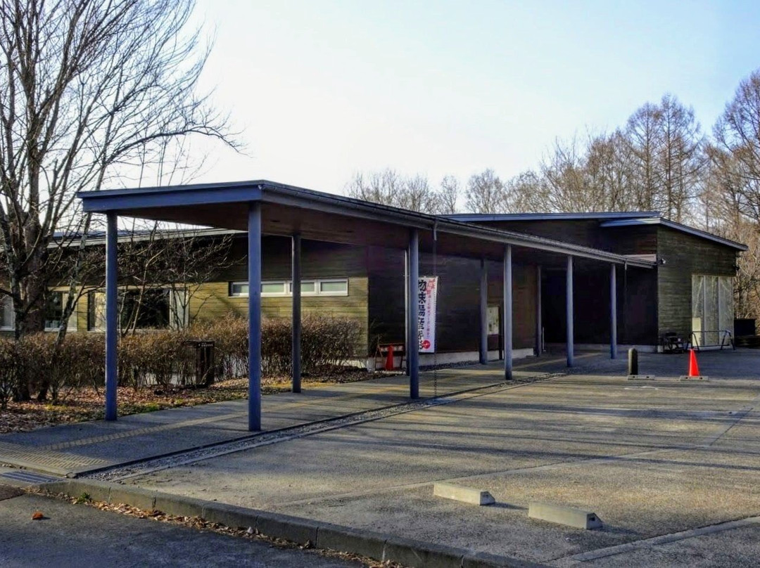 Togariishi Jomon Archaeological Museum景点图片