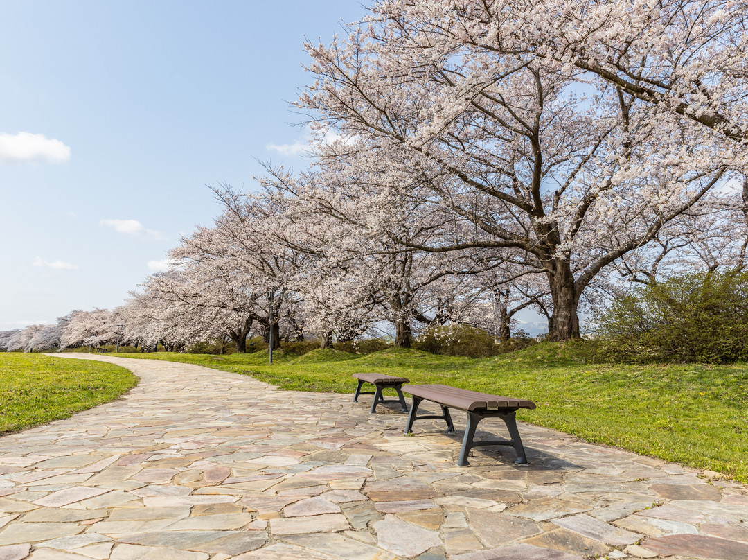 Tenshochi Park-北上市必去景点