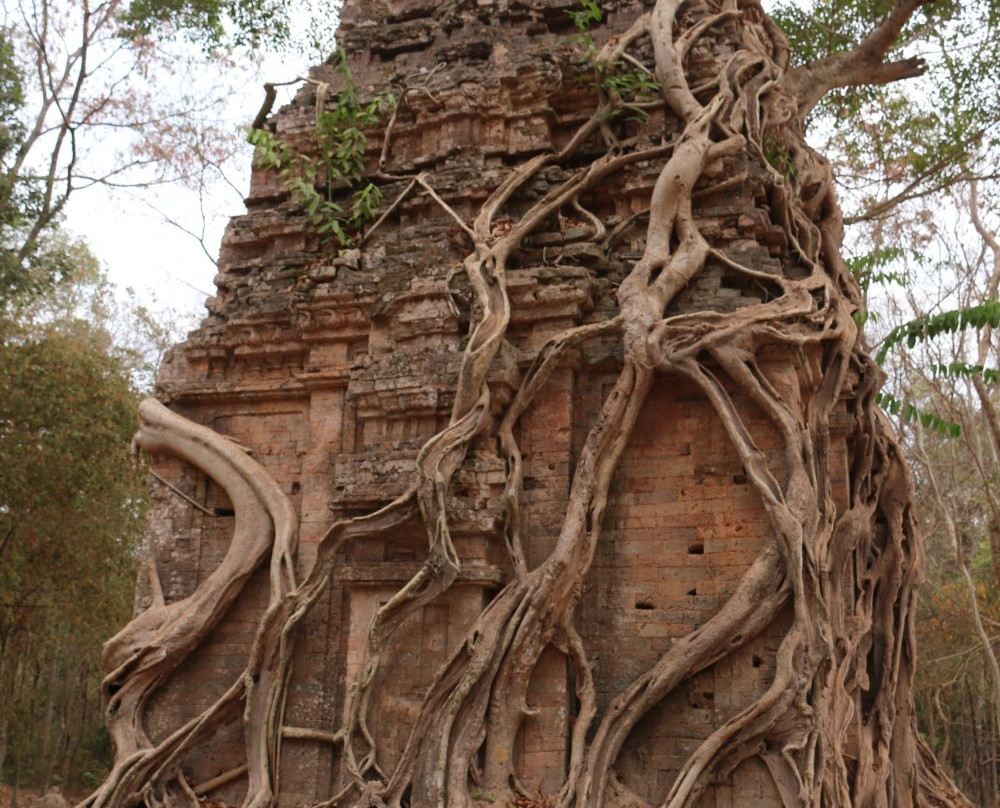 Daem Chrei Temple-磅同必去景点
