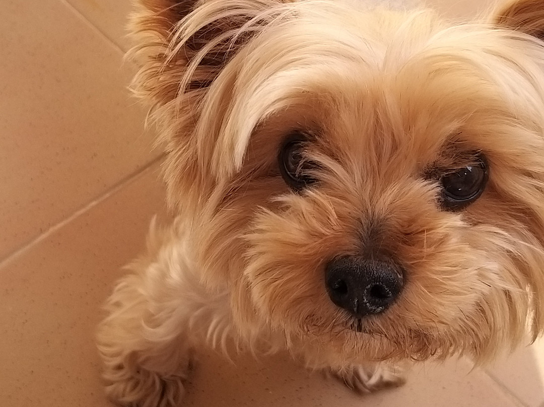 Trex Andalucia-图雷必去景点