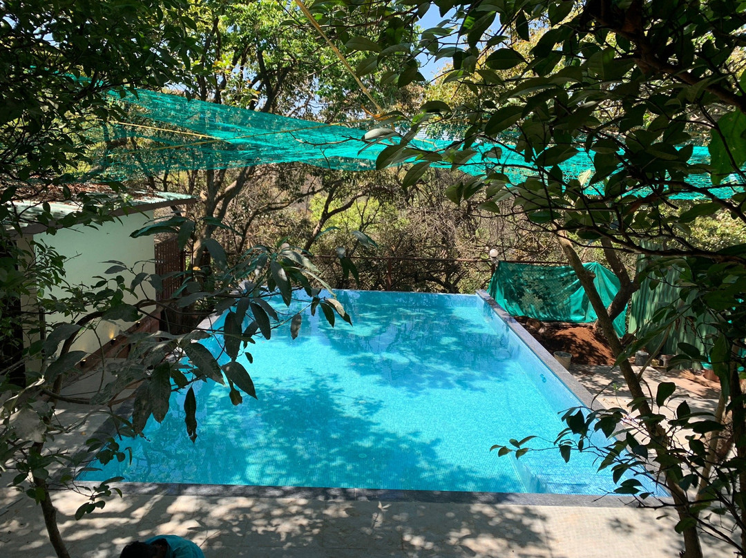 Honeywood Holiday Homes主图