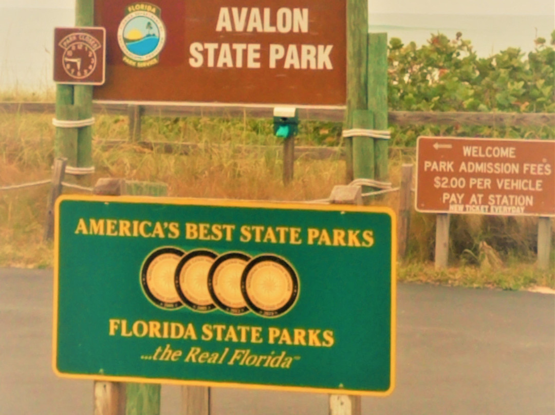 Avalon Beach Park景点图片